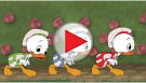 Huey, Dewey & Louie in the Garden